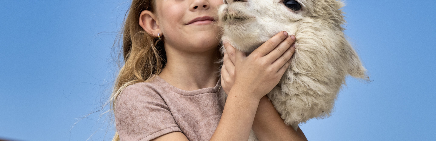 Экскурсия в парк альпак «ПАЧА МАМА»